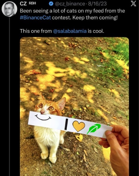 An orange-and-white cat holding a sign that reads I love Robinhood